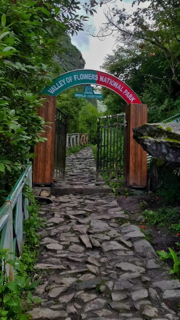 The Valley of Flowers: A UNESCO World Heritage Wonder