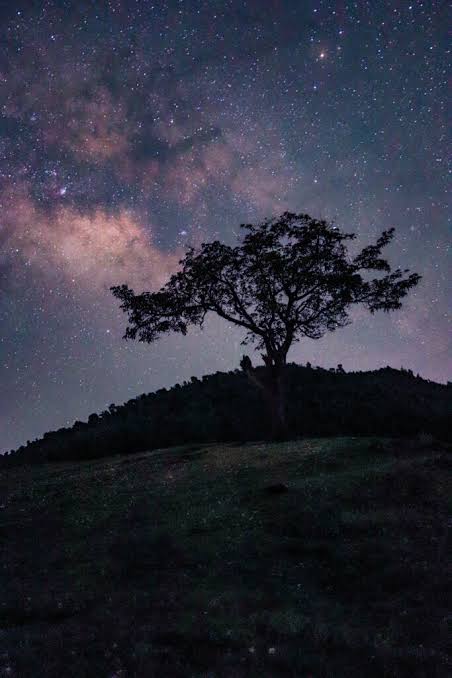 Benital: India’s First Astro-Village and a Gateway to the Stars